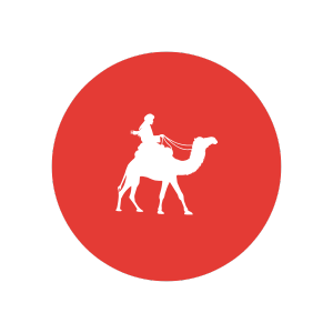 rajasthan camel ride