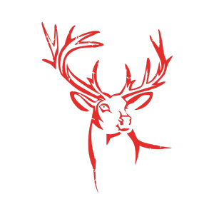 wildlife tour