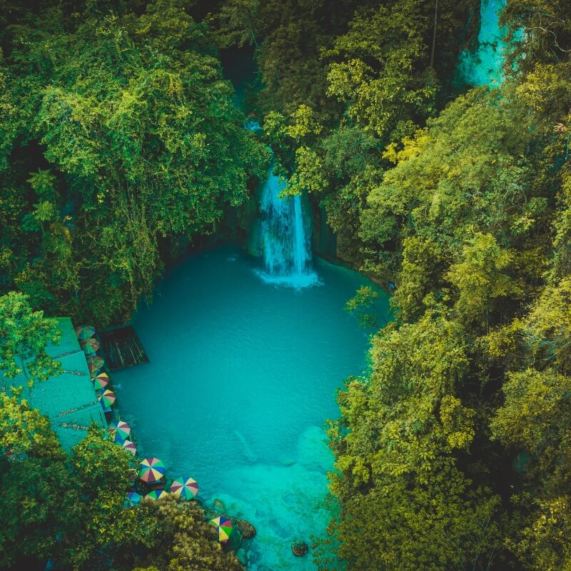 cebu bohol travel packages