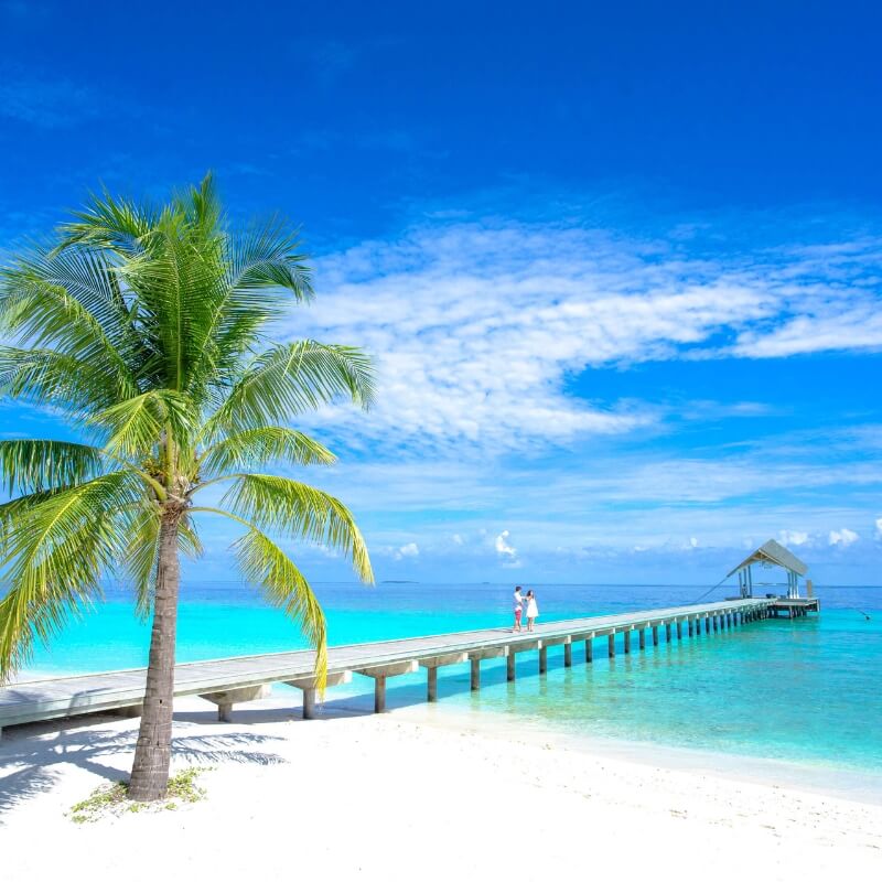 fiji holiday packages