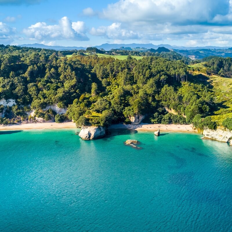 new zealand trip package