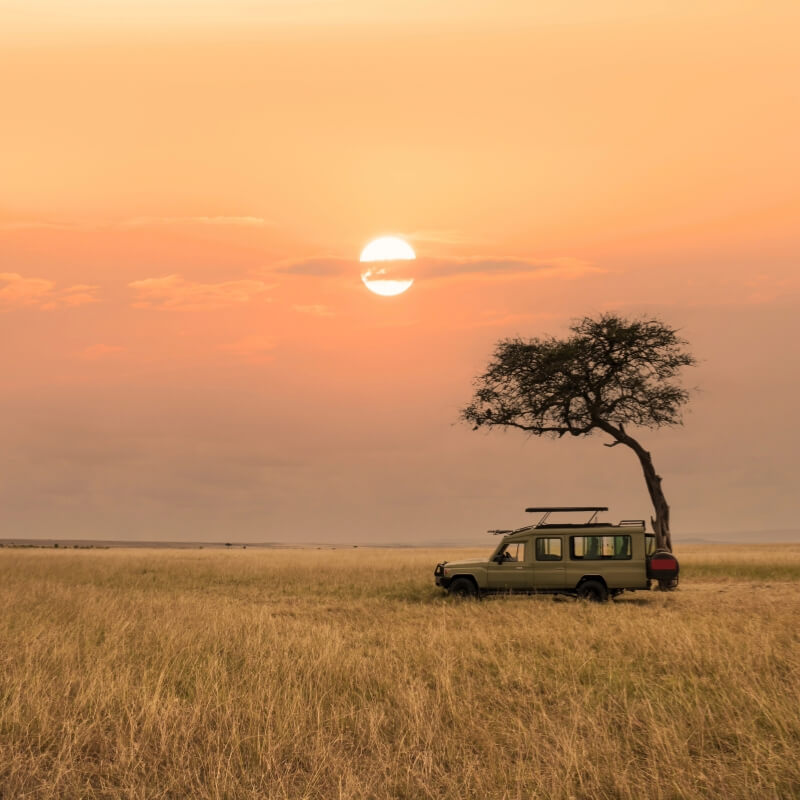 tanzania and zimbabwe travel package